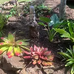 Tiki Ora Lodge - Tiki