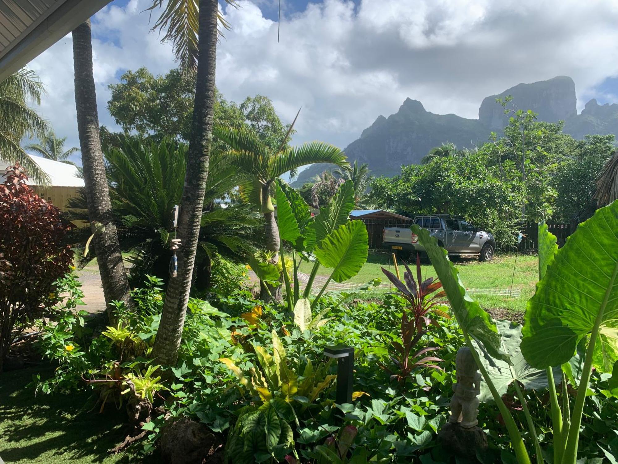 Appartement Tiki Ora - Tiki